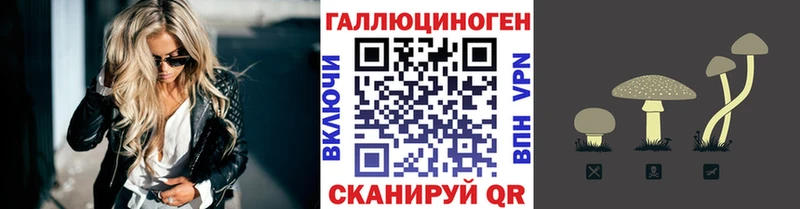 Псилоцибиновые грибы GOLDEN TEACHER  Купить закладки  Большой Камень 